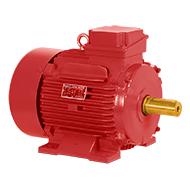 Fire Fighting Motors